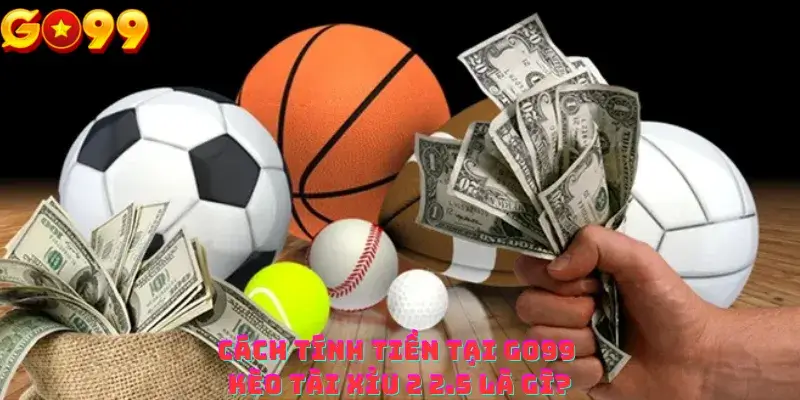 Cách tính tiền tại Go99 kèo tài xỉu 2 2.5 là gì