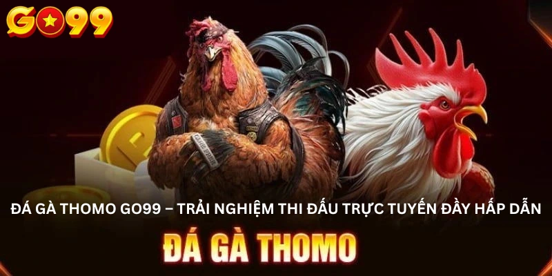 Đá Gà Thomo Go99 – Trải Nghiệm Thi Đấu Trực Tuyến Đầy Hấp Dẫn