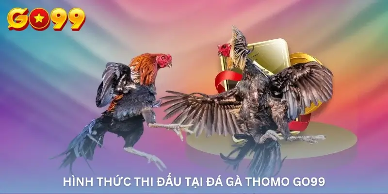 Hình thức thi đấu tại Đá Gà Thomo Go99