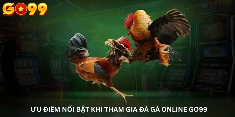 Ưu Điểm Nổi Bật Khi Tham Gia Đá Gà Online Go99