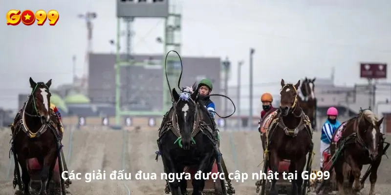 Các giải đấu đua ngựa được cập nhật tại Go99