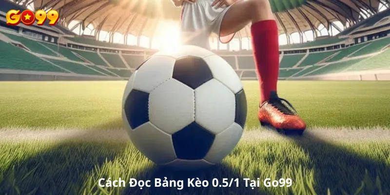 Cách Đọc Bảng Kèo 0.5/1 Tại Go99