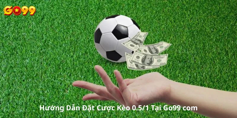 Hướng Dẫn Đặt Cược Kèo 0.5/1 Tại Go99 com